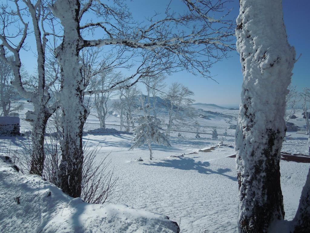 Bed and Breakfast Le Francillon Лез-Эстабль Экстерьер фото
